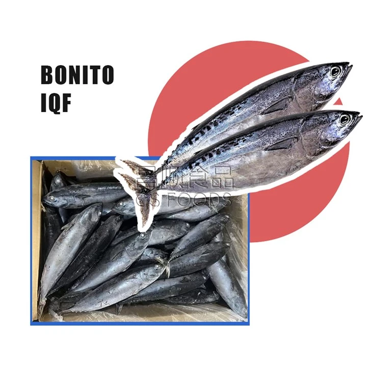 A Bullet Tuna