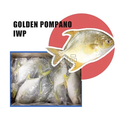 Pomfret Aur IWP